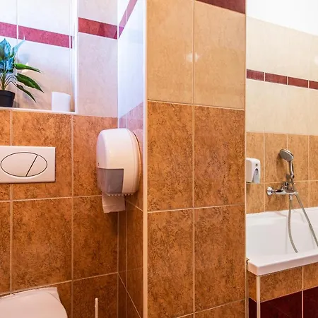 فندق Borhotel Sziluett Farkasmaly 3*